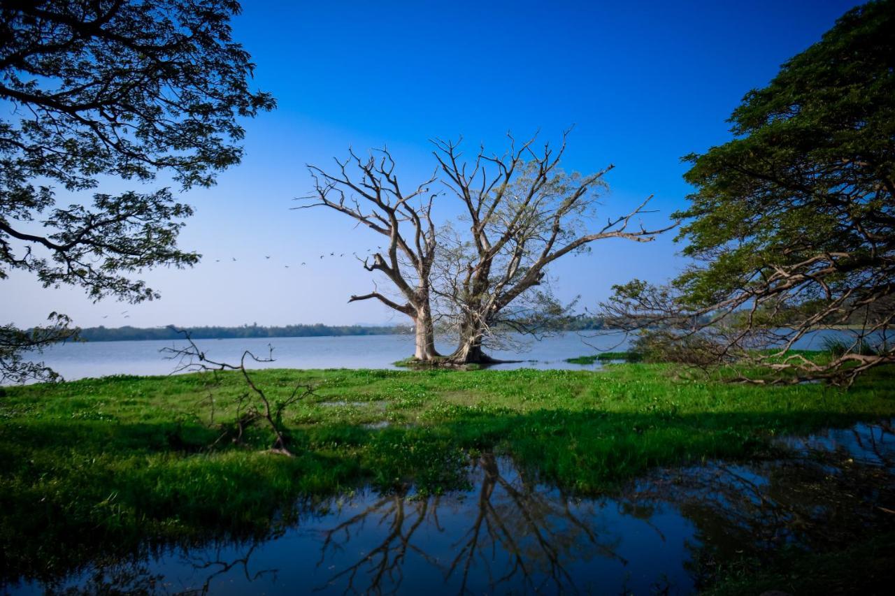 Double Lake View Tissa & Safari Tissamaharama Exterior photo