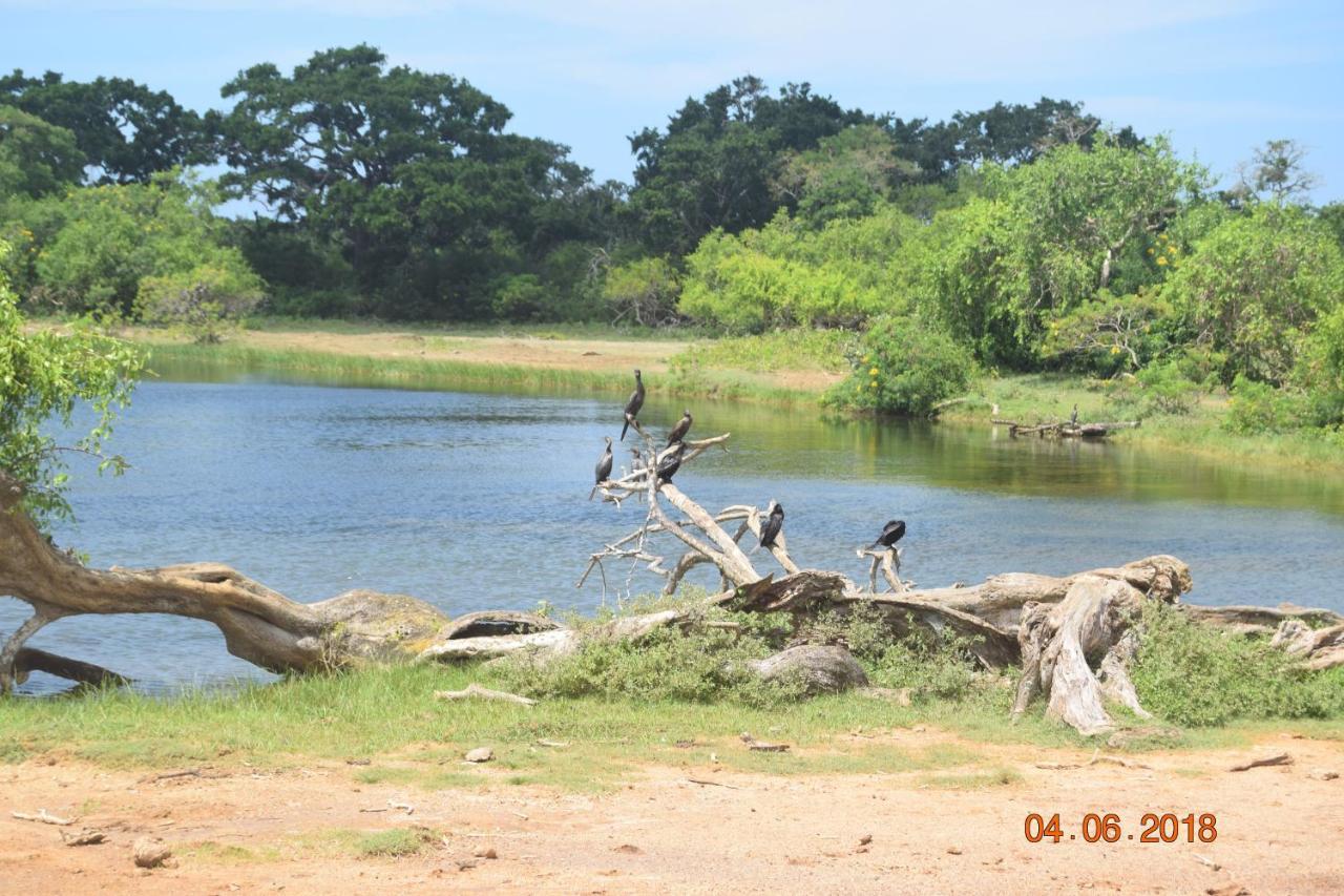 Double Lake View Tissa & Safari Tissamaharama Exterior photo